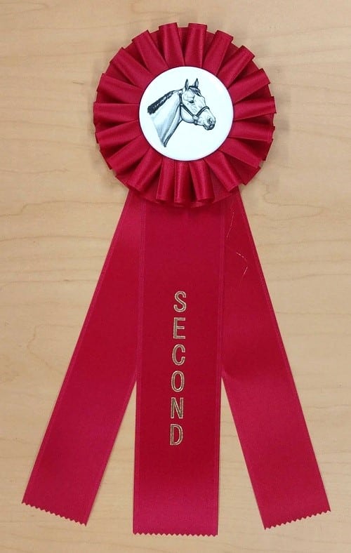 Quick Ship Horse Show Rosette Ribbons 1st - 6th Place - McLaughlin
